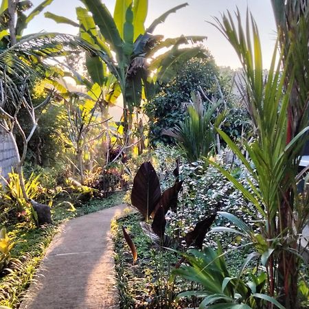 Buntera Homestay Sidemen ซิเดอมัน ภายนอก รูปภาพ