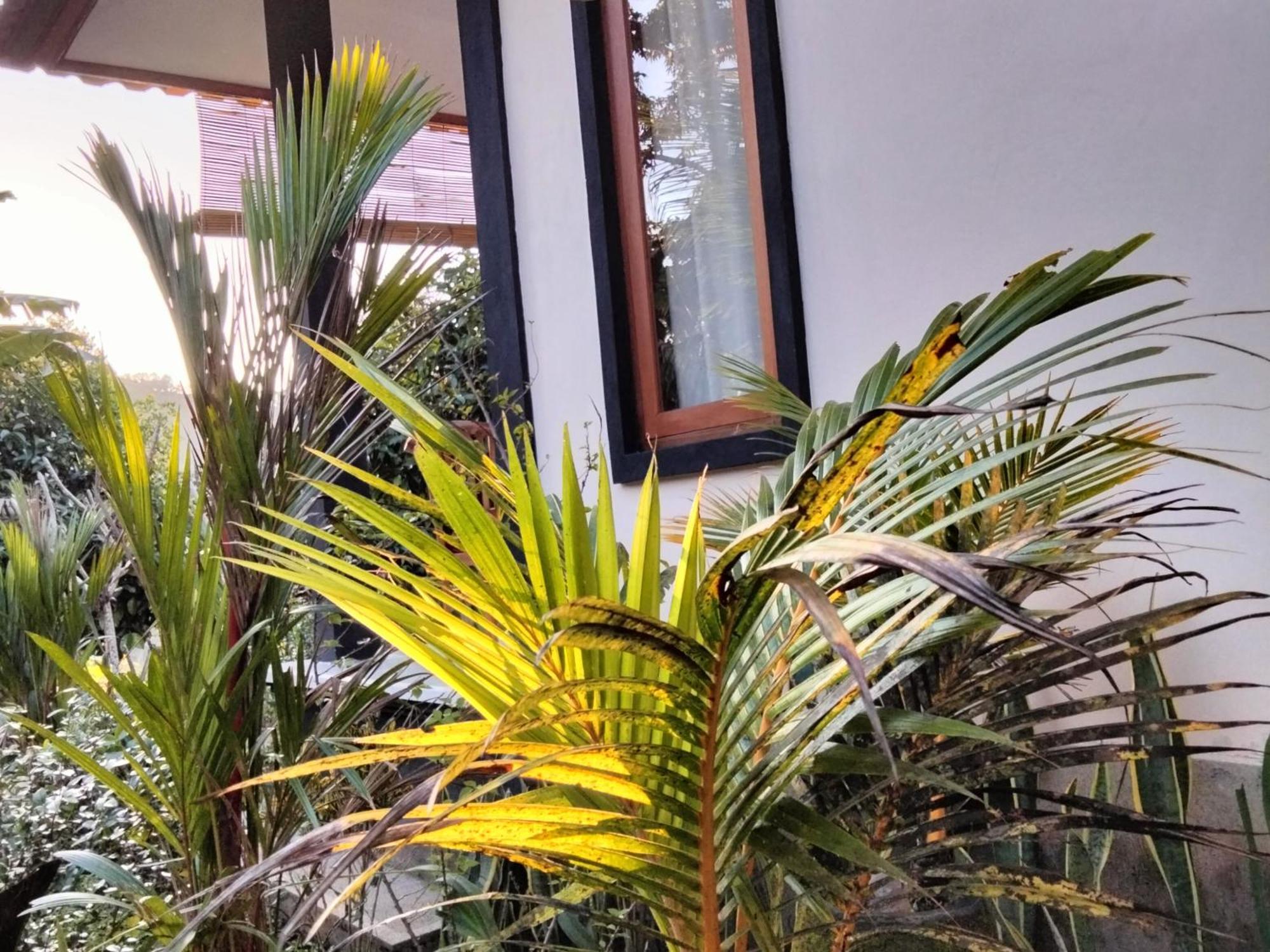 Buntera Homestay Sidemen ซิเดอมัน ภายนอก รูปภาพ