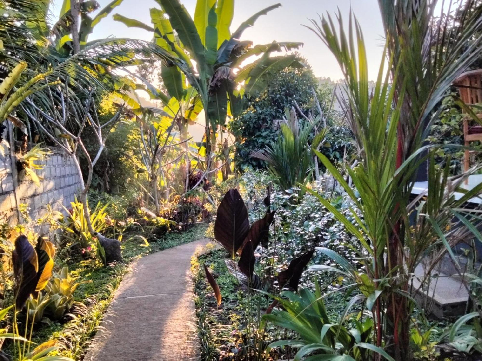 Buntera Homestay Sidemen ซิเดอมัน ภายนอก รูปภาพ