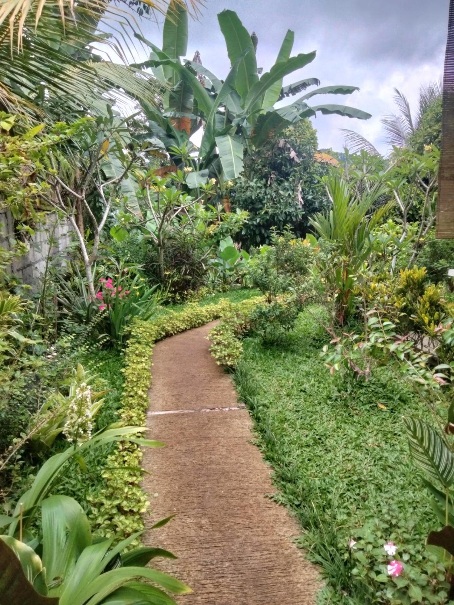 Buntera Homestay Sidemen ซิเดอมัน ภายนอก รูปภาพ