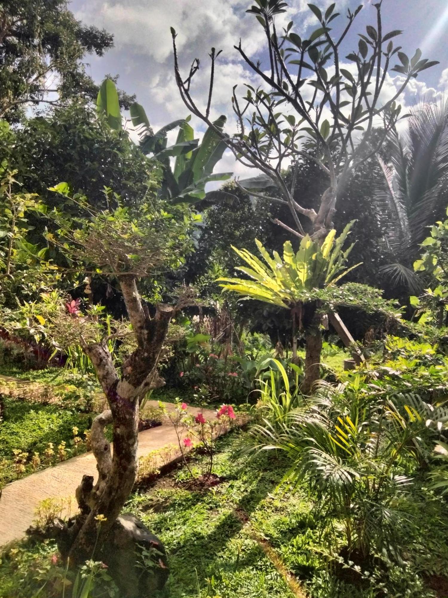 Buntera Homestay Sidemen ซิเดอมัน ภายนอก รูปภาพ