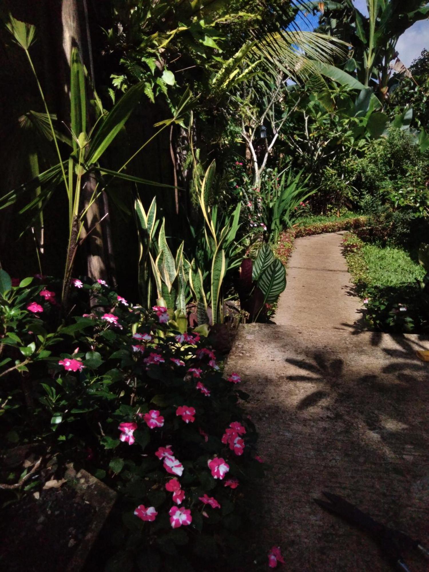 Buntera Homestay Sidemen ซิเดอมัน ภายนอก รูปภาพ