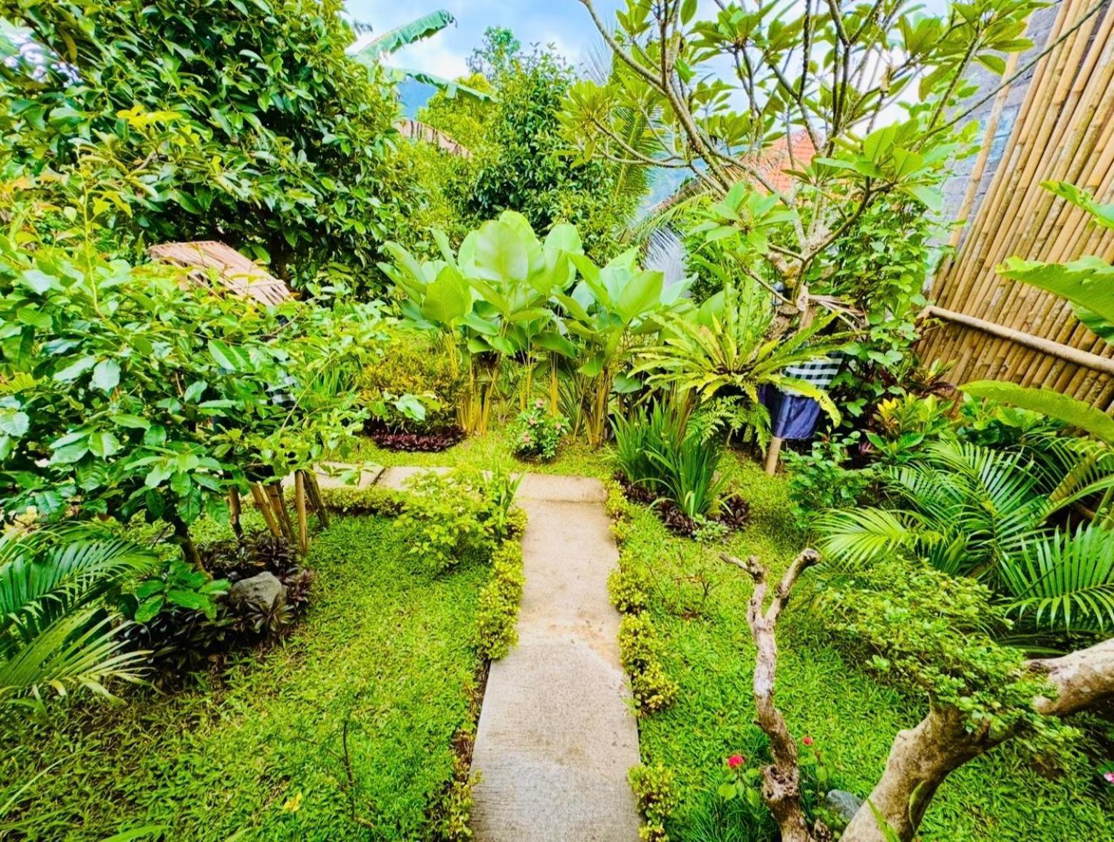 Buntera Homestay Sidemen ซิเดอมัน ห้อง รูปภาพ